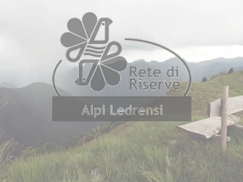 Cambiamenti nel paesaggio. Servizi ecosistemici e biodiversità: un caso di studio in Valle di Ledro (Trento)
