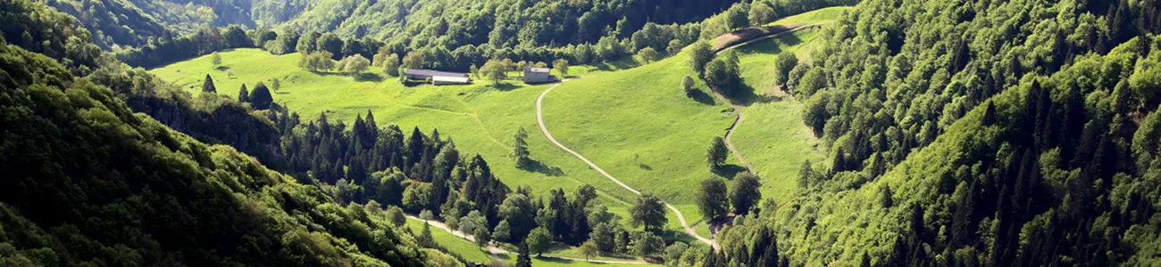 Museo delle Palafitte di Ledro | Rete di Riserve Alpi Ledrensi