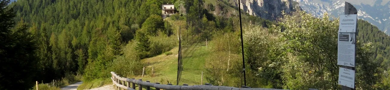 LedroNatura | Rete di Riserve Alpi Ledrensi