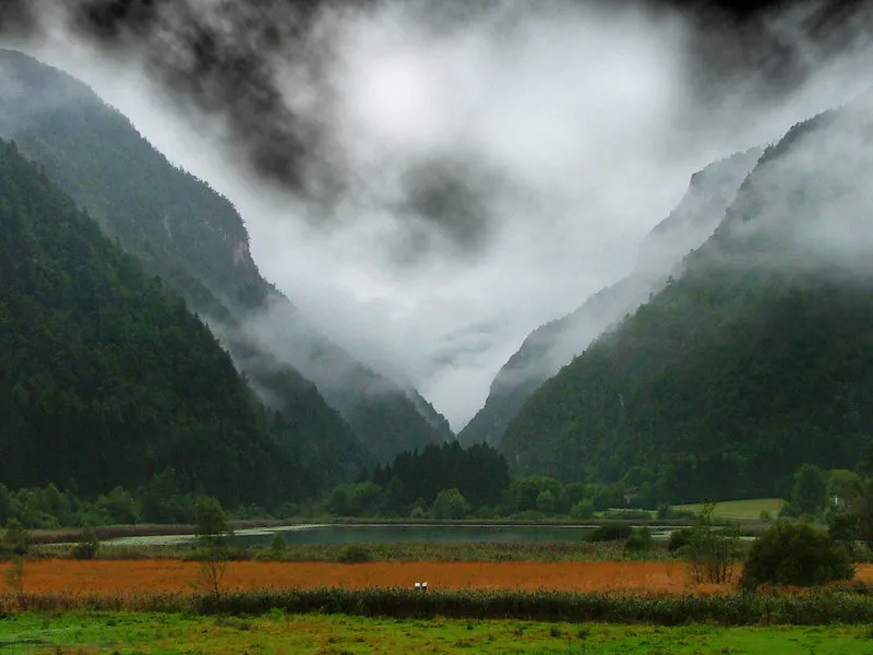 Ampola in autunno