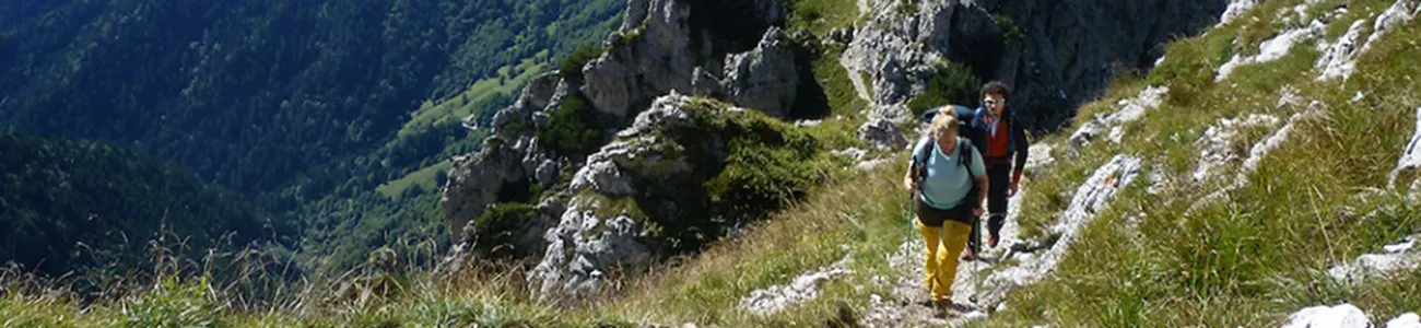 La Stazione di Inanellamento a Bocca Caset | Rete di Riserve Alpi Ledrensi